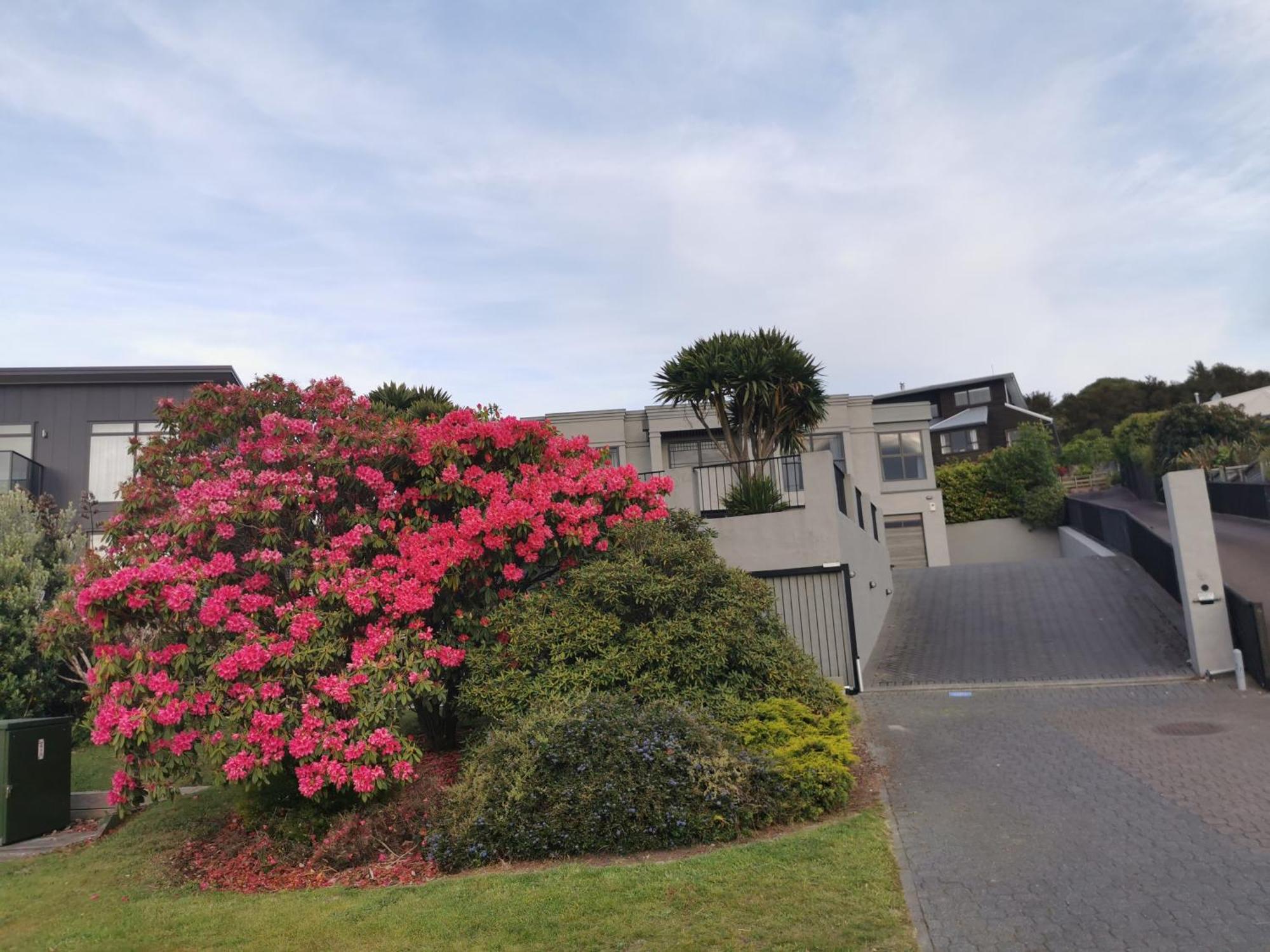 Lakeview Holiday Hideaway Apartment Taupo Exterior photo